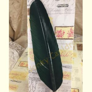 shop hover image