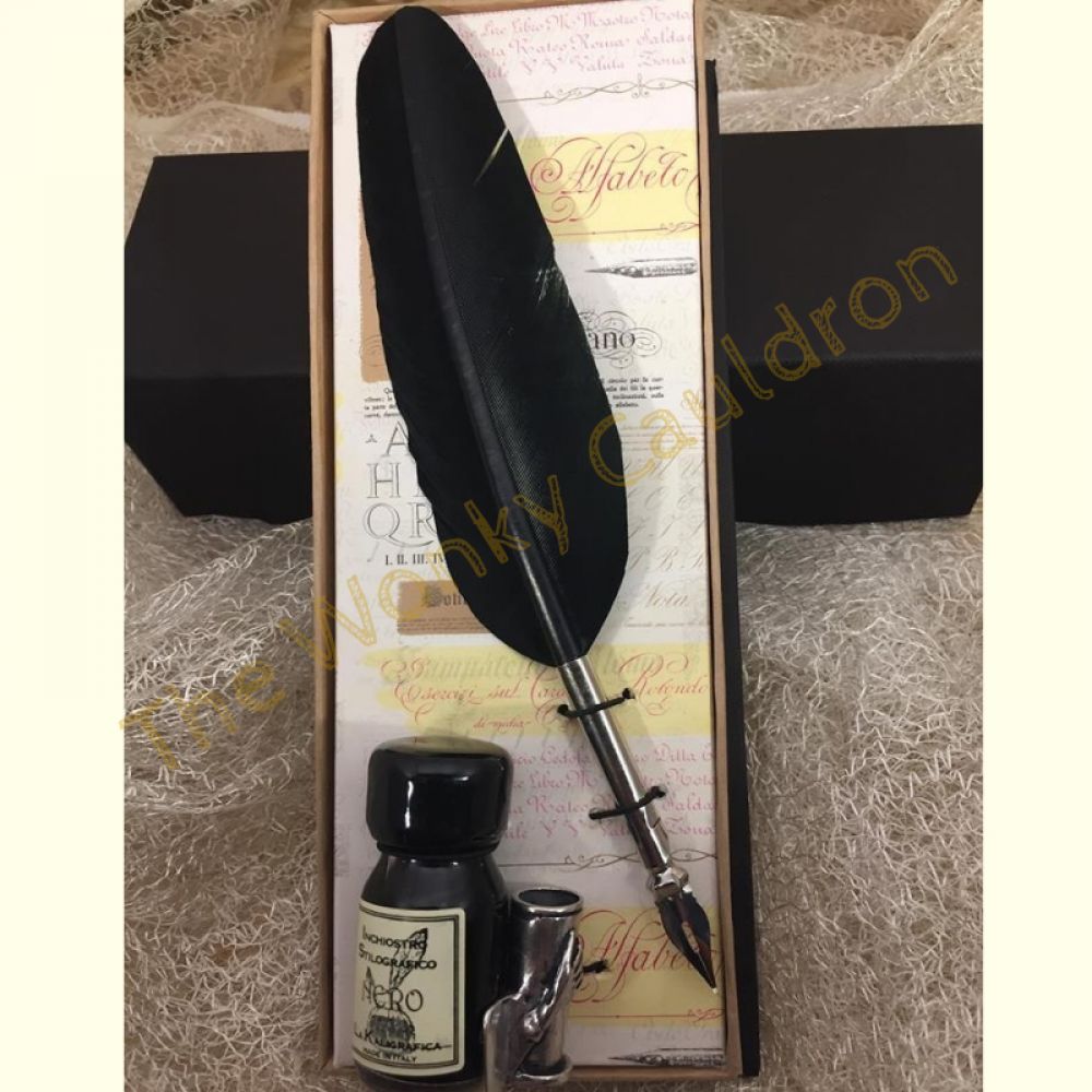 Black Goose Feather Quill & Ink Set
