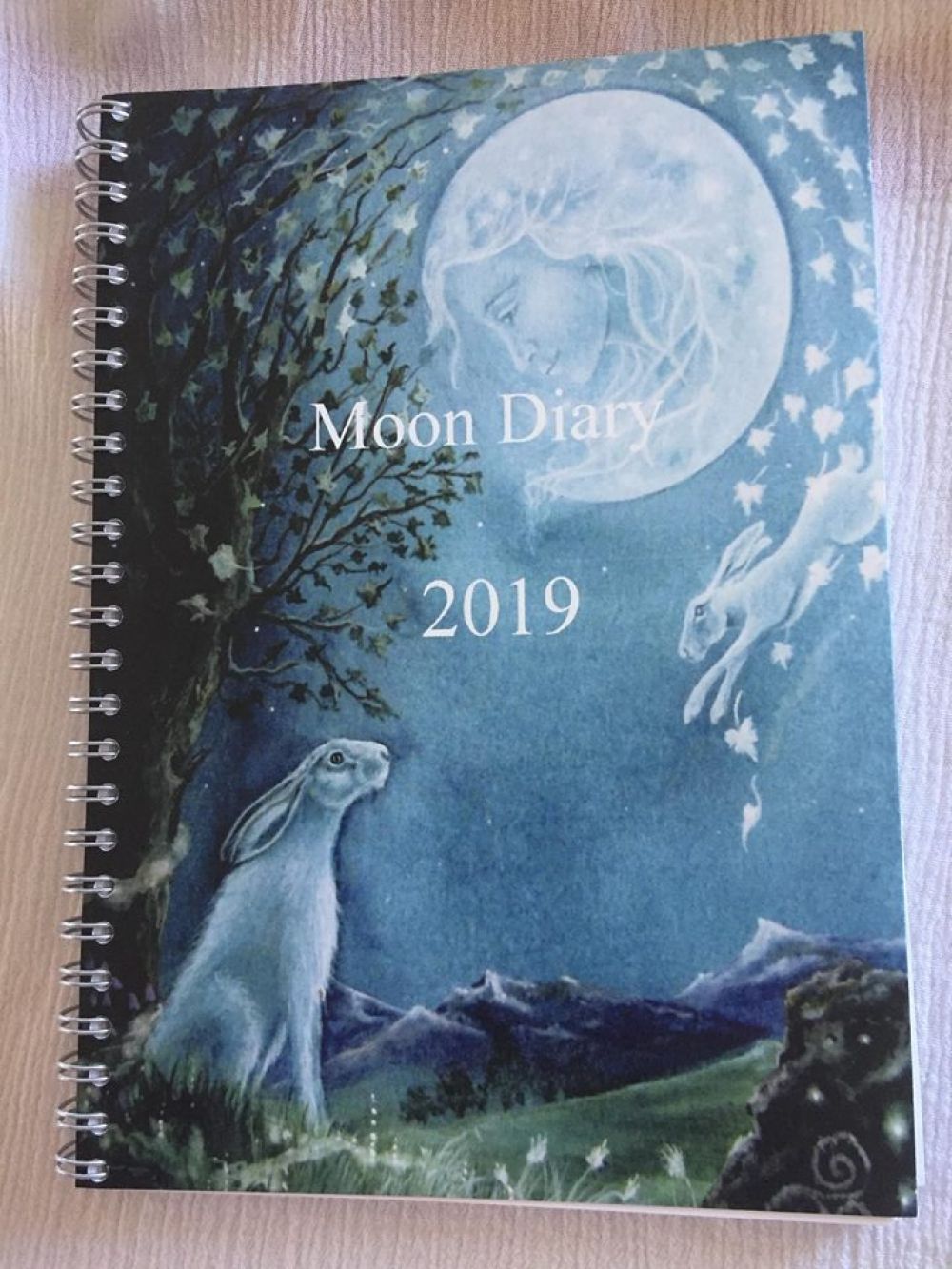 Moon Diary 2019