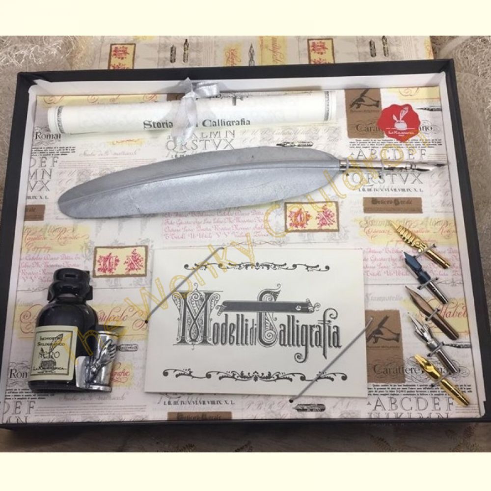Silver Goose Feather Quill & 5 Nib Set with Ink
